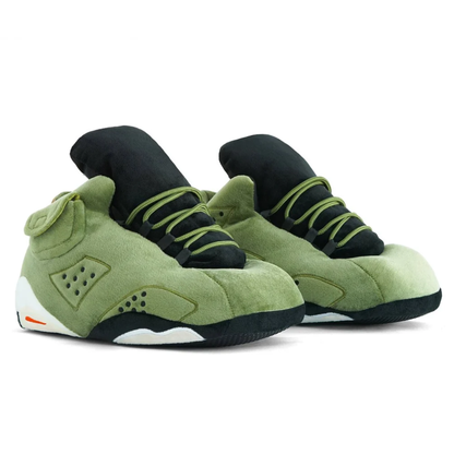 Air Jordan 6